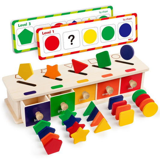 Coogam Montessori Wooden Color & Shape Sorting Box